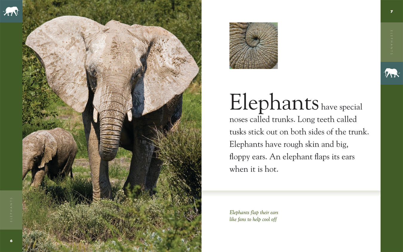 Amazing Animals (2014): Elephants - Wildlife Documentary Film | Educational Nature Videos for Kids & Adults | Perfect for Classroom Learning & Family Movie Nights