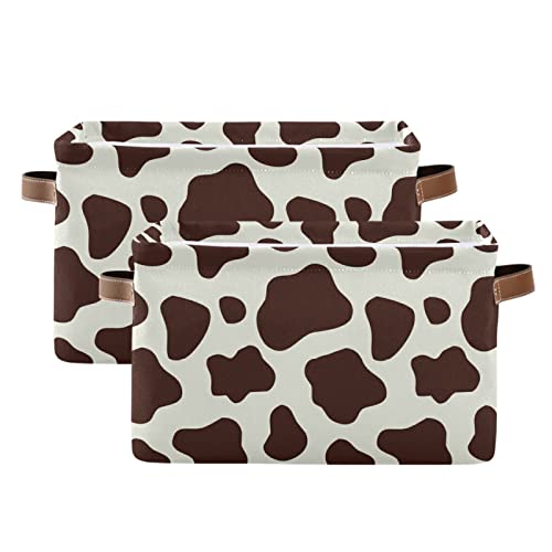 02-Brown White Cow