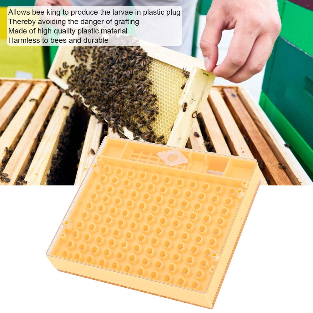 Queen Rearing Box - Plastic Bee Incubator for Beekeeping | Safe & Harmless Queen Bee Breeding Cage | Perfect for Apiary, Hive Management & Sustainable Honey Production