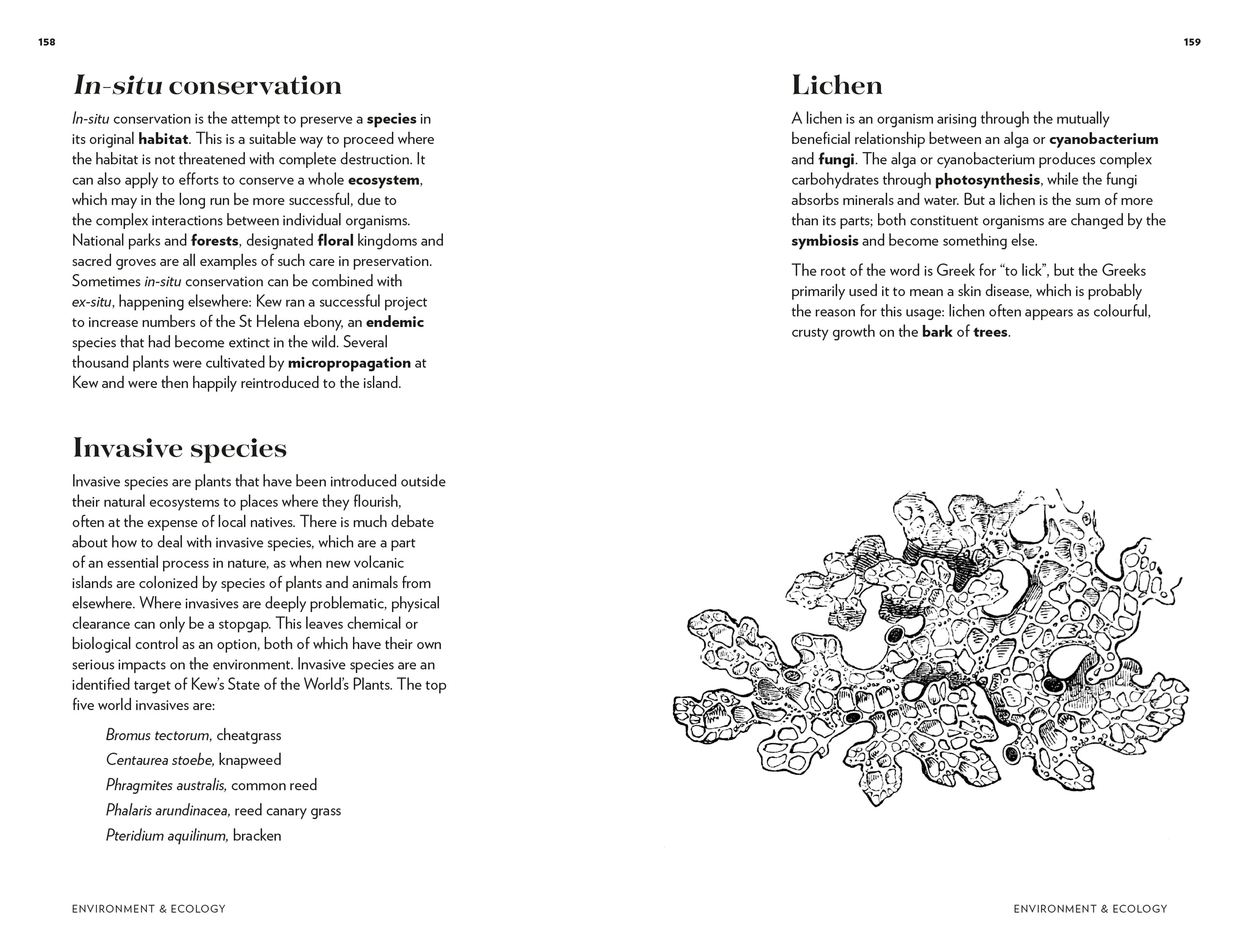 Kew - Plant Words: 250 Unique Botanical Terms for Plant Enthusiasts | Royal Botanic Gardens, Kew | Perfect for Gardeners, Botanists & Nature Lovers