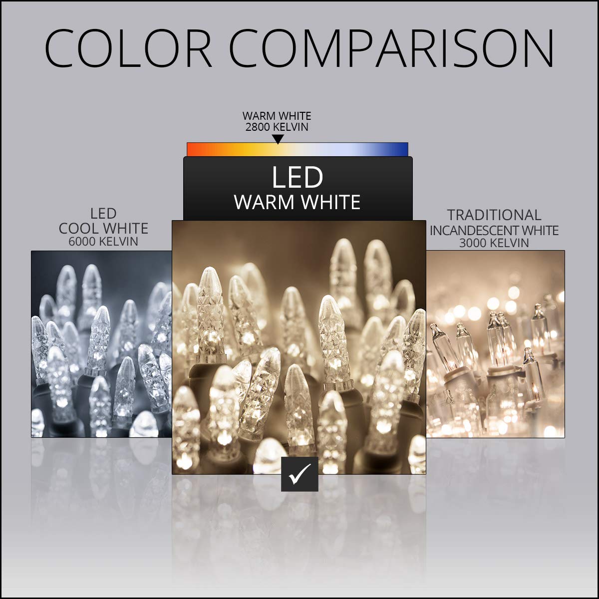 100 Warm White LED Christmas Net Lights - 4x6 ft Green Wire Wintergreen Lighting Set for Outdoor Holiday Decorations (M5 Lights, Indoor/Outdoor Use) | Perfect for Trees, Bushes, and House Facades