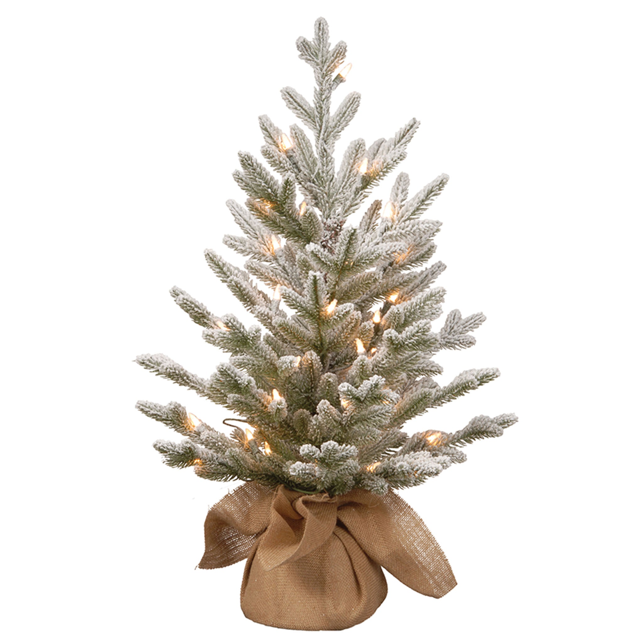 2.5 ft Pre-Lit Snowy Cambridge Fir Artificial Christmas Tree with Warm White LED Lights - Perfect for Home, Office, and Holiday Decorations