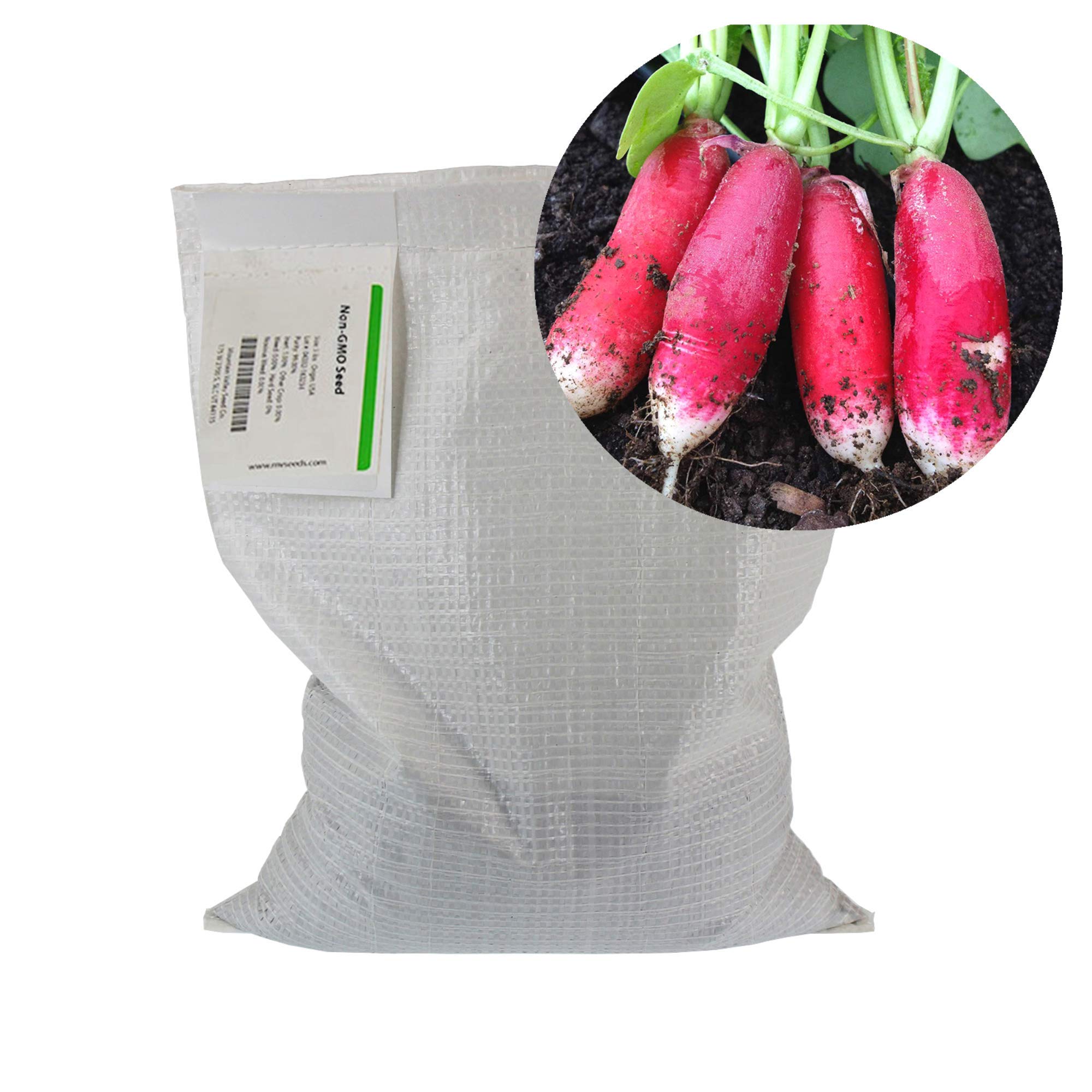 Premium Non-GMO China Rose Radish Sprouting Seeds - 25 Lb Bulk for Microgreens, Home Gardening & Hydroponics | Fast-Growing, High-Yield Vegetable Seeds for Salads, Juicing & Healthy Eating