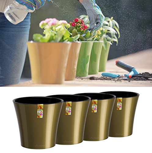 Gold/Black - Set of 4