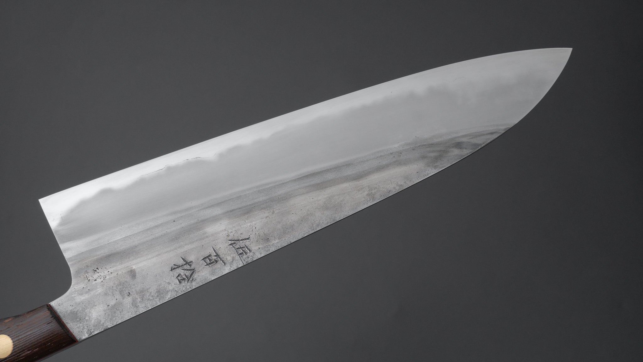 Premium Jiro Tsuchime Yo Gyuto 210mm Japanese Chef Knife with Tagayasan Handle - Perfect for Sushi, Meat Cutting & Professional Kitchen Use