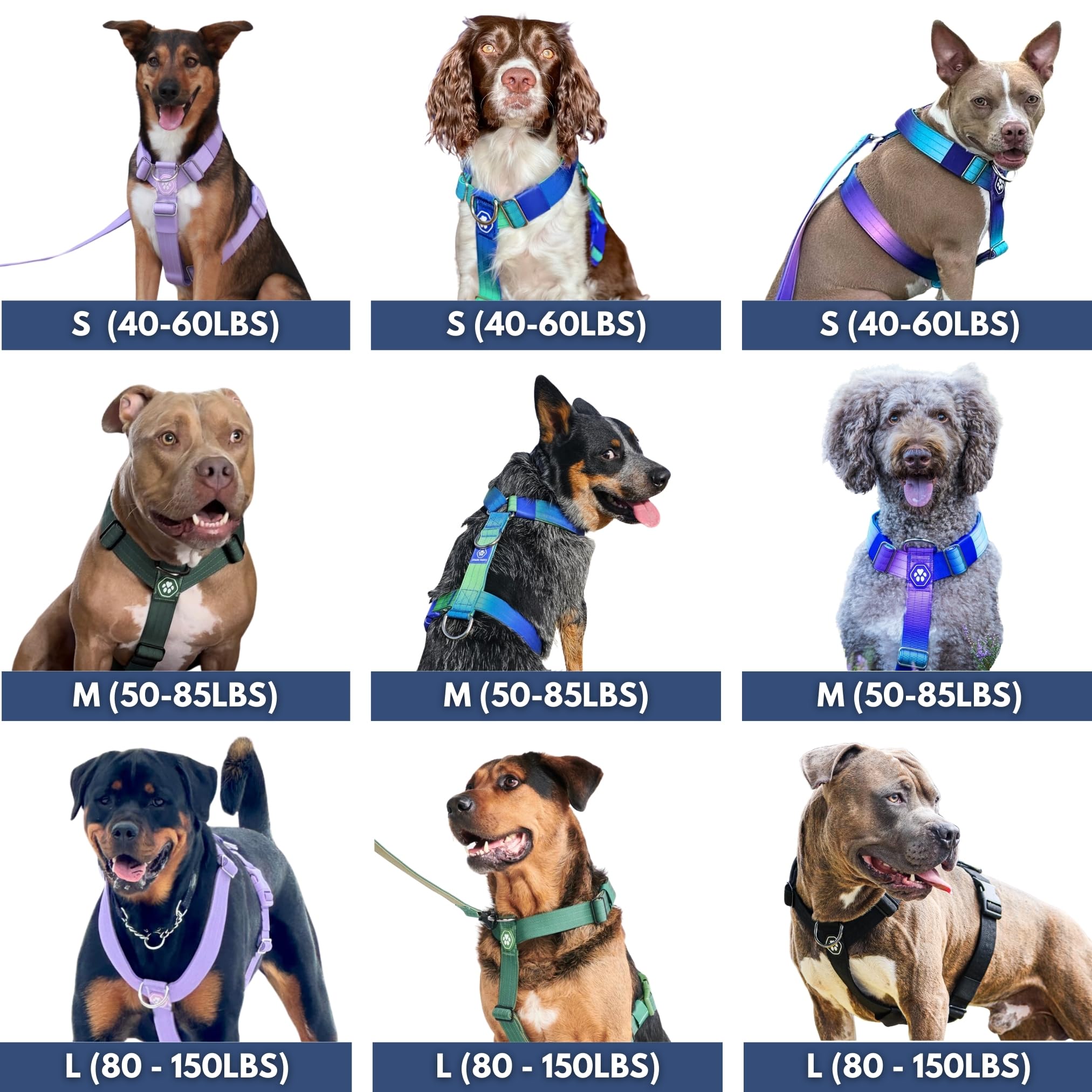 No-Pull Dog Harness for Large Strong Breeds - Pitbull & Boxer Safety Control Vest with 90s Retro Design - Perfect for Walking, Training & Outdoor Adventures (Size M)