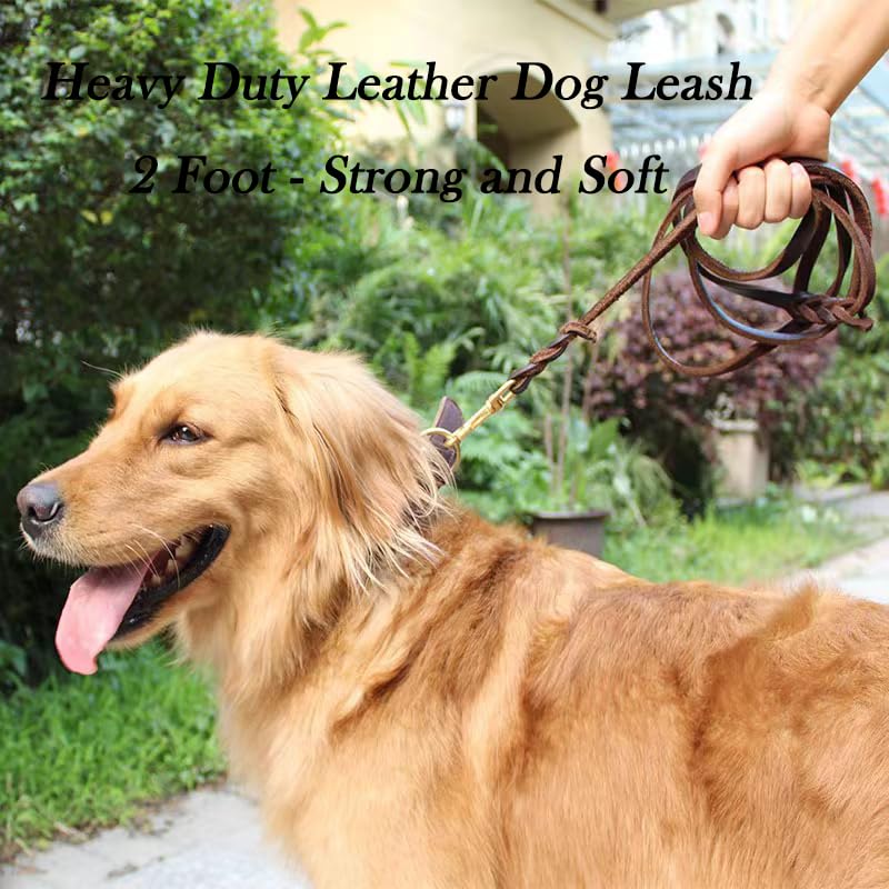 Premium 2FT Leather Dog Leash - 1/2 Inch Wide Short Training Leash for Small, Medium & Large Dogs | Durable Leather Dog Walking Leash for Obedience Training, Daily Walks & Outdoor Adventures