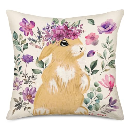 Ca-hedgehog