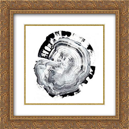 15x15 Gold Ornate Framed Double Matted Museum Art Print - Tree Ring Abstract III Wall Decor for Living Room, Bedroom & Office | Ethan Harper Artwork