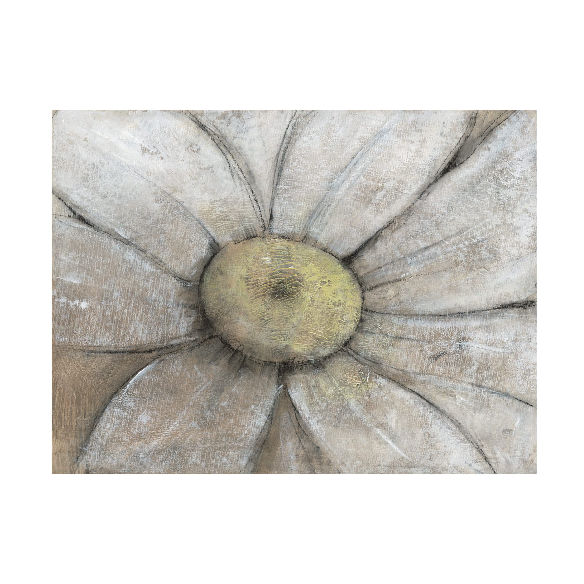 Tim O'Toole 'Close Up Daisy II' Floral Canvas Wall Art - Handmade Botanical Print for Living Room, Bedroom & Office Decor
