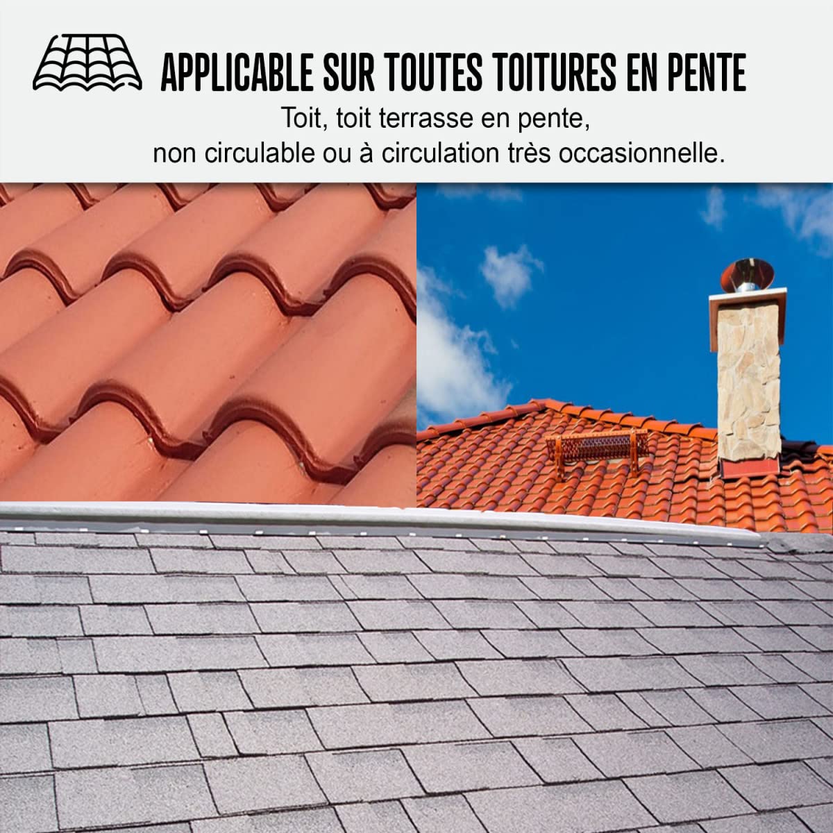 Waterproofing Resin - Roof Waterproof Paint - Special for Sloped Roofs: ARCAFILM - 0.75 L White - ARCANE INDUSTRIES | Ideal for Home Roof Repairs, Leak Protection & Weatherproofing