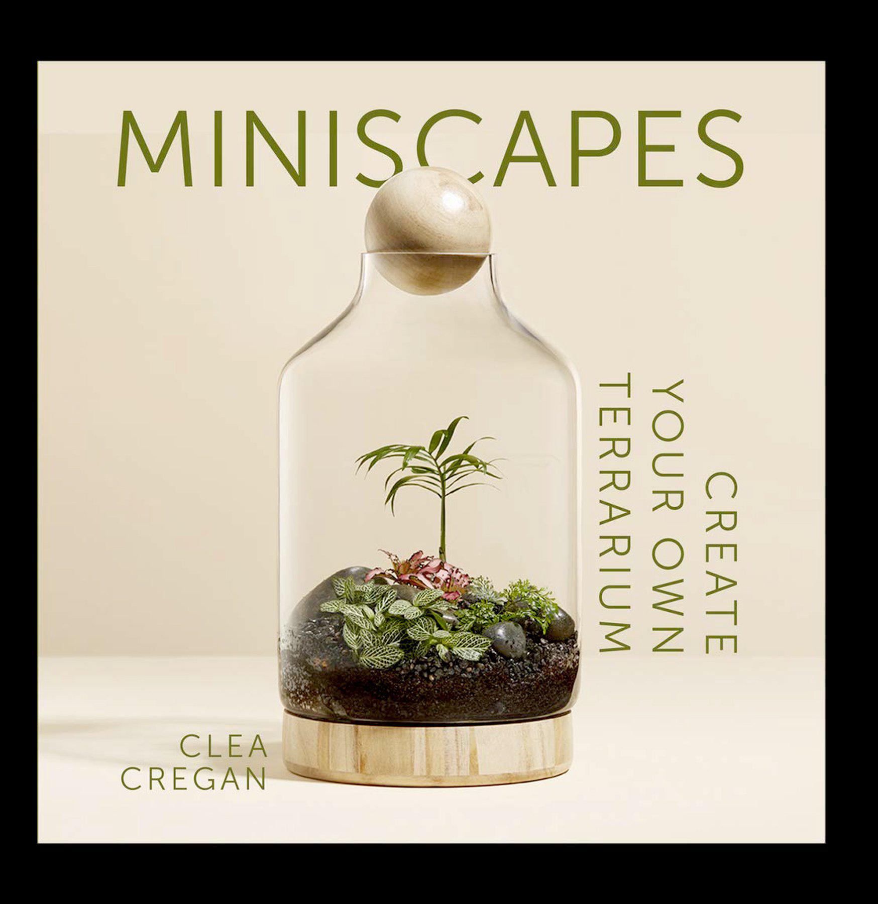Miniscapes DIY Terrarium Kit - Build Your Own Mini Garden for Home & Office Decor | Perfect for Gifts, Relaxation & Indoor Gardening