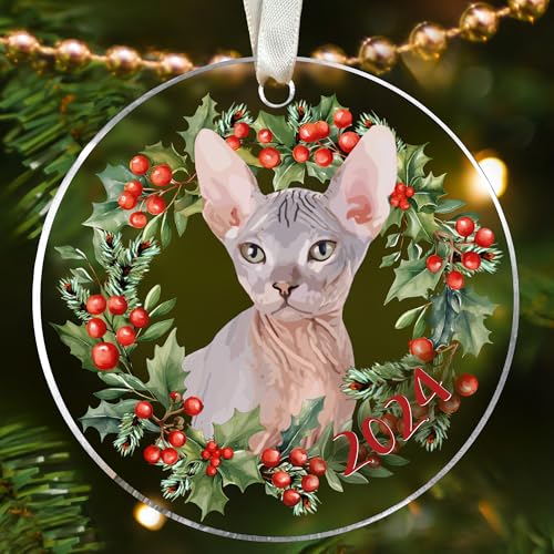 Cat Sphynx