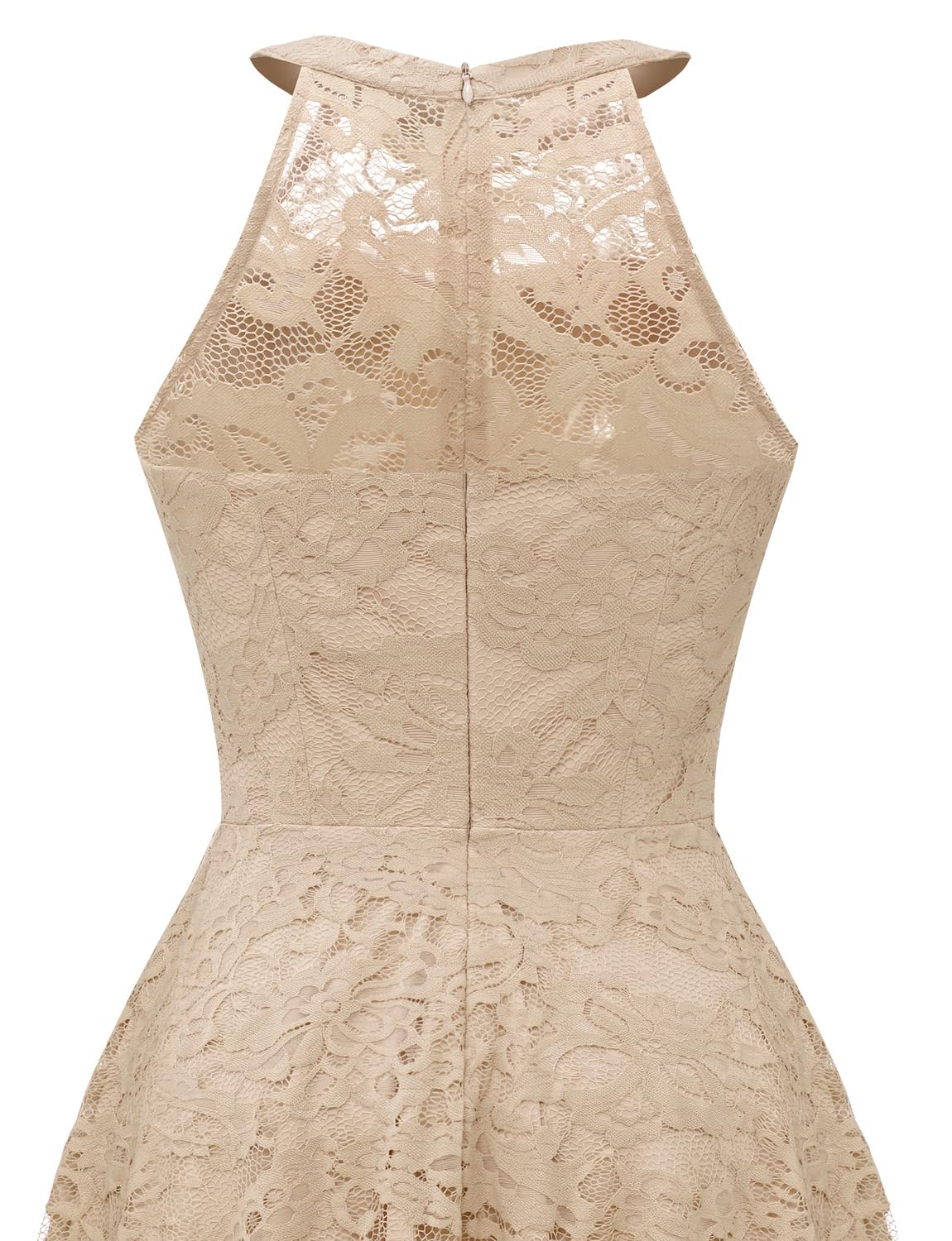 Elegant Women's Halter Lace Cocktail Dress for Wedding Guest & Bridesmaid | Hi-Lo Hem Sheer Neckline Party Gown | Perfect for Evening Events, Formal Occasions & Special Celebrations