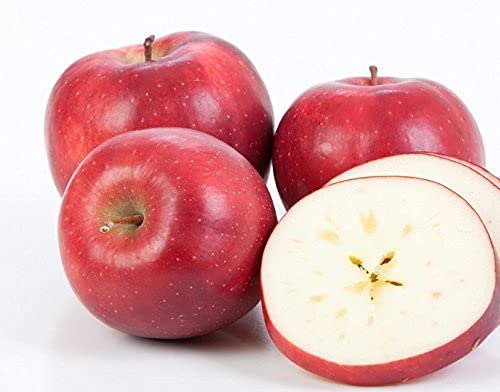 Fresh-Picked Red Delicious Apples from Kauffman Orchards - 48 Count Box | Perfect for Healthy Snacks, Baking Pies & Gift Baskets