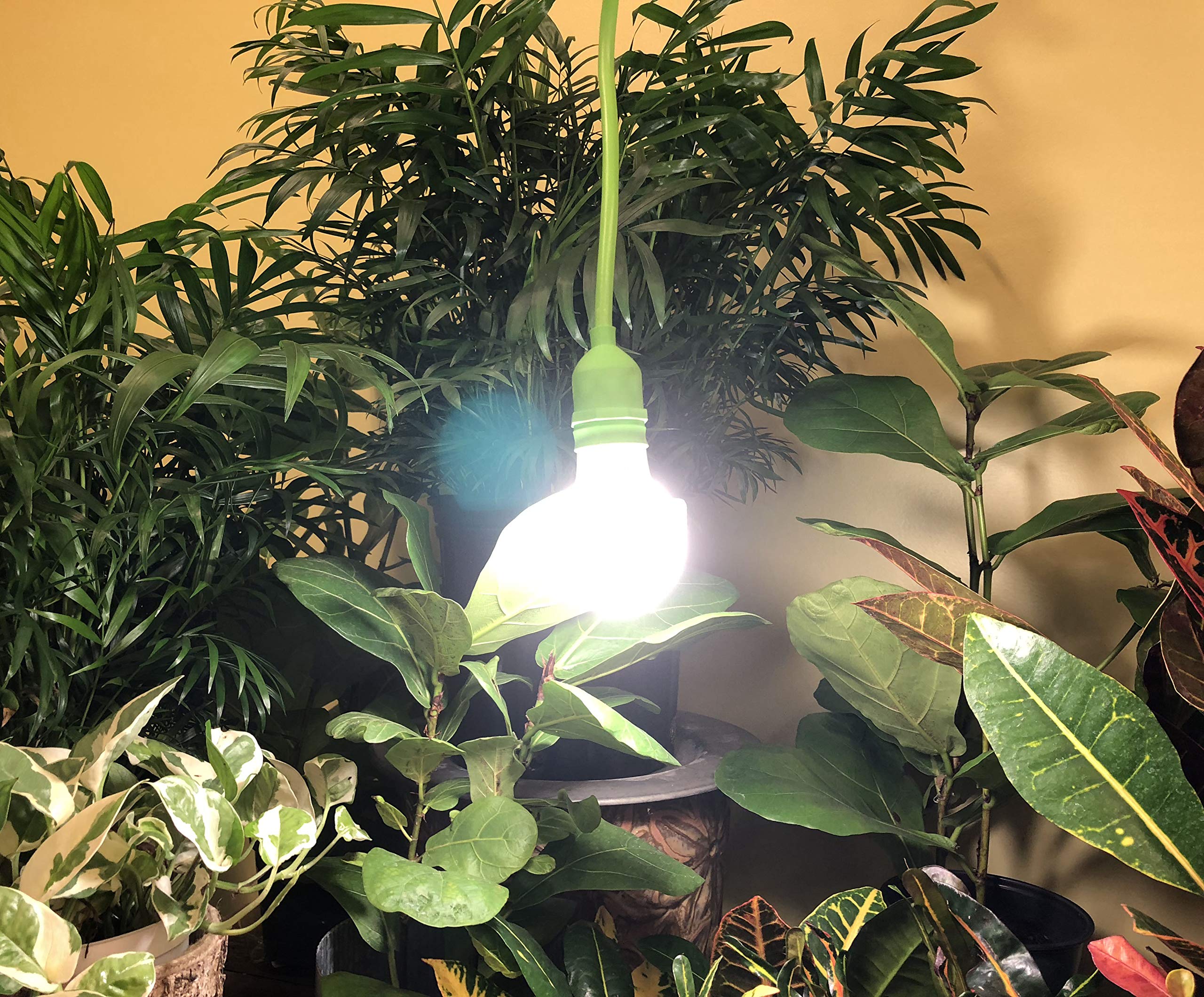 Miracle LED Full Spectrum Grow Light - 6ft Corded Single-Socket Indoor Greenhouse Kit (6-Pack) | Replaces 150W Bulbs | Perfect for Hydroponics, Seed Starting & Indoor Plant Growth