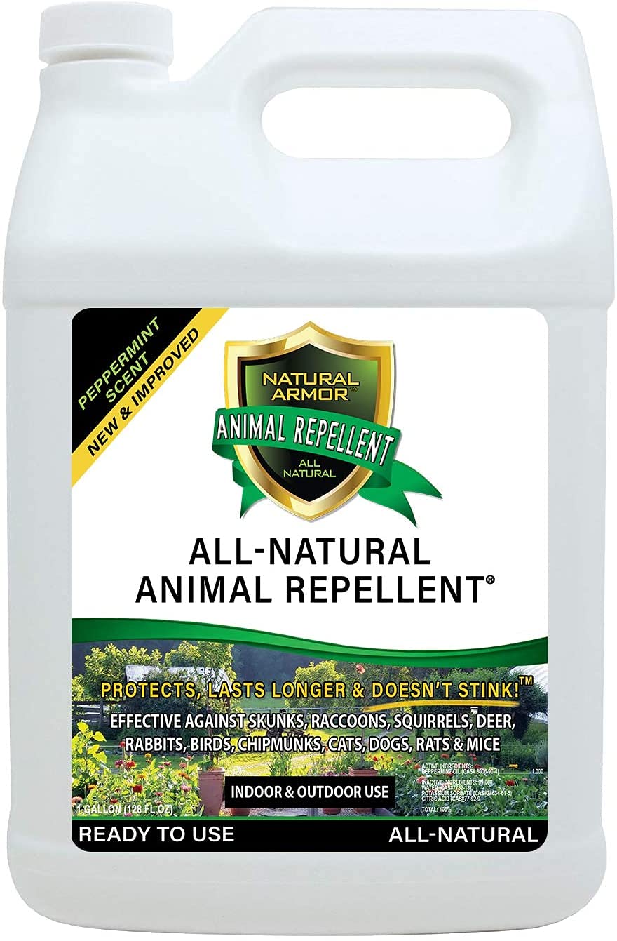 Natural Armor Peppermint Animal & Rodent Repellent Spray - 128 Fl Oz (1 Gallon) Refill Case of 4 | Powerful Skunk, Raccoon, Rat, Mouse & Deer Deterrent | Safe for Gardens, Lawns, Homes & Outdoor Use