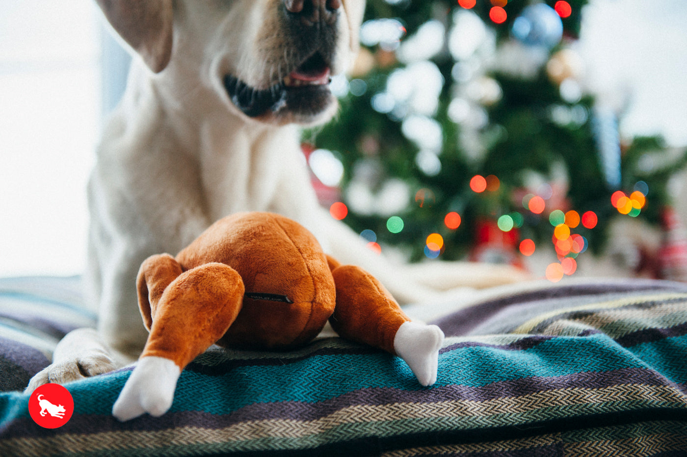 El Pavo Entero Holiday Classic™ Dog Plush Toy - Soft & Durable Chew Toy for Small & Large Dogs | Perfect for Thanksgiving, Christmas & Playtime Fun | Pet P.L.A.Y.