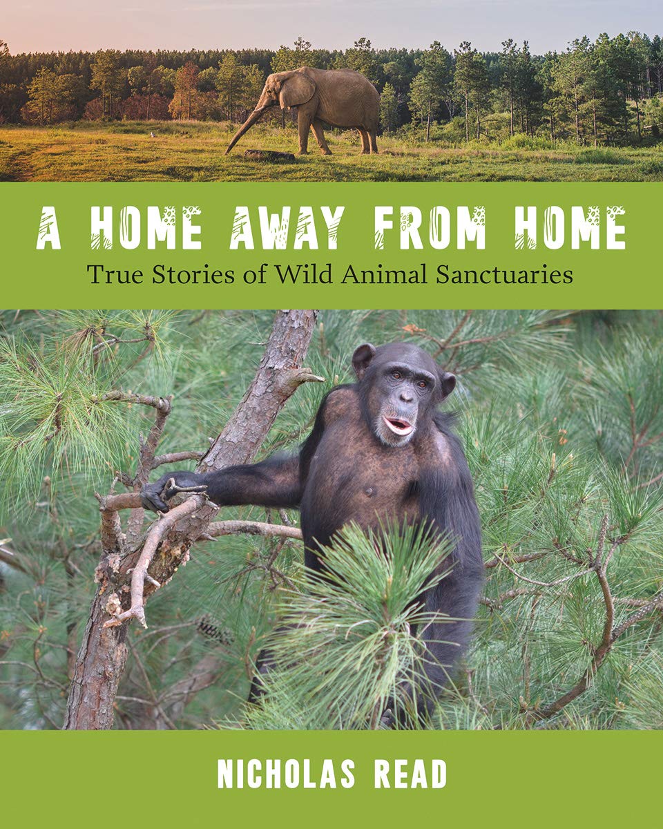 Wild Animal Sanctuary Stories - Inspiring True Tales of Rescue & Rehabilitation | Perfect for Animal Lovers & Conservationists