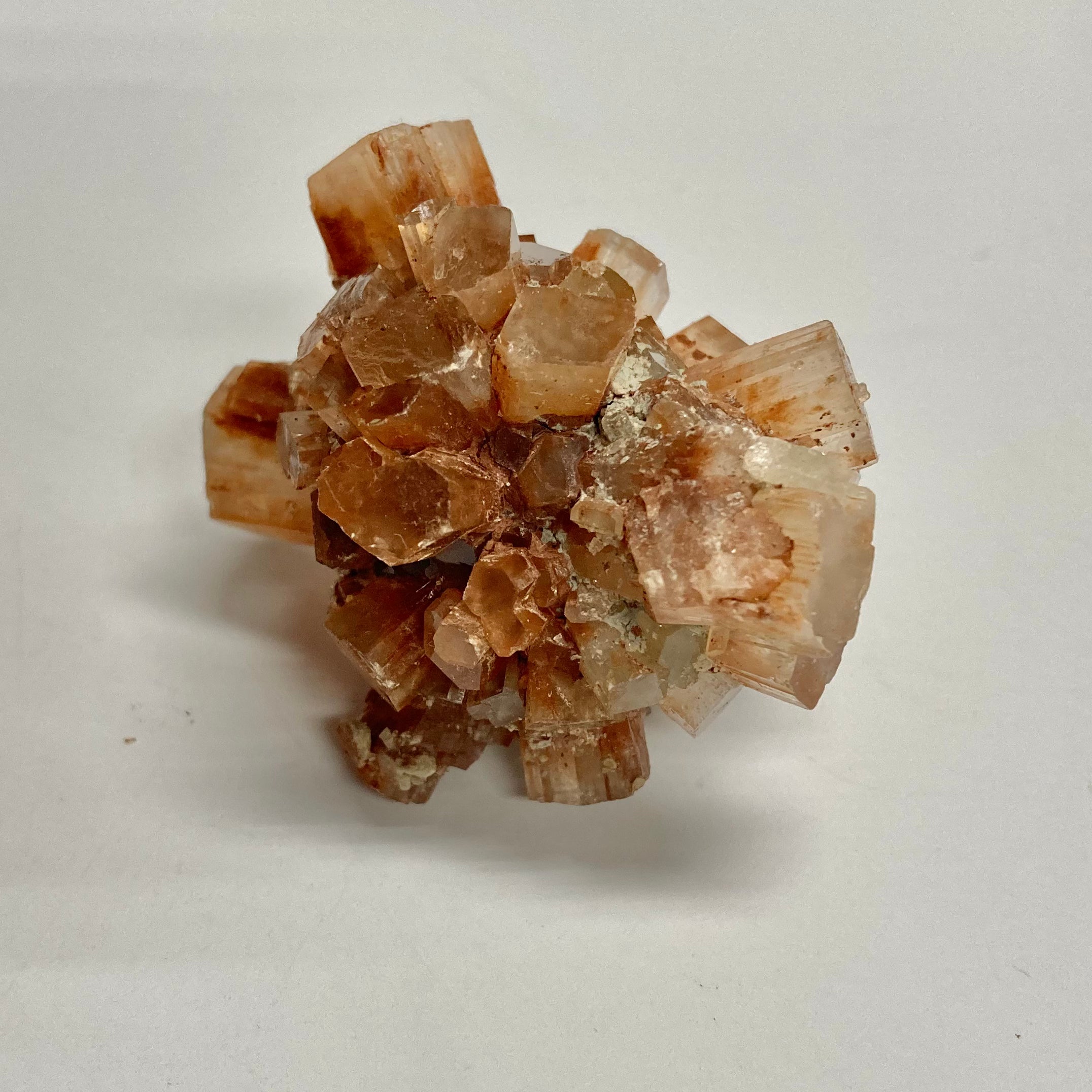 Premium Aragonite Sand - Natural Calcium Carbonate for Aquariums, Reef Tanks & Marine Ecosystems | Ideal for Water Filtration, pH Balancing & Coral Growth