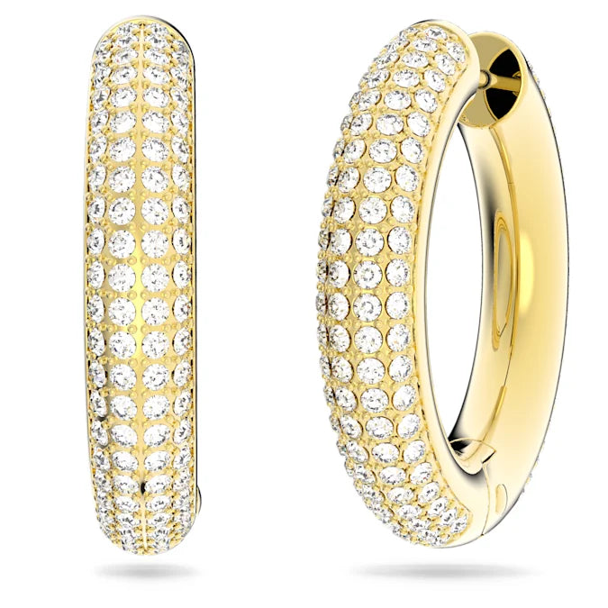 Dextera Hoop Earrings for Women - 14K Gold Plated Stainless Steel Circle Earrings - Hypoallergenic Fashion Jewelry for Everyday Wear, Party & Gift Giving