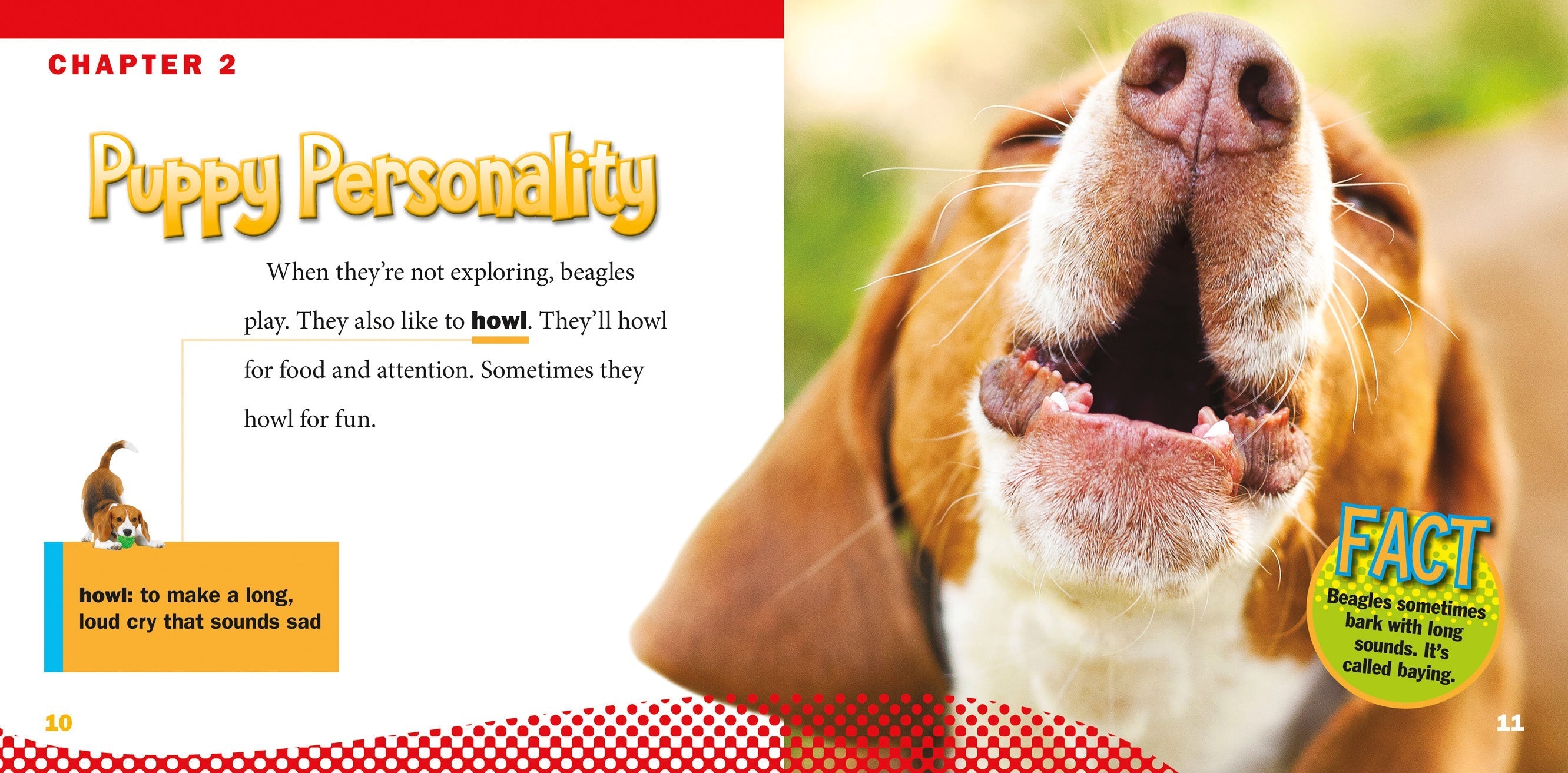 Beagles - 9781623104665 | Dog Breed Book for Training, Care & Adoption | Perfect for Pet Lovers & Dog Owners