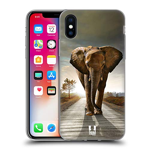 Elephant Walking On The Road