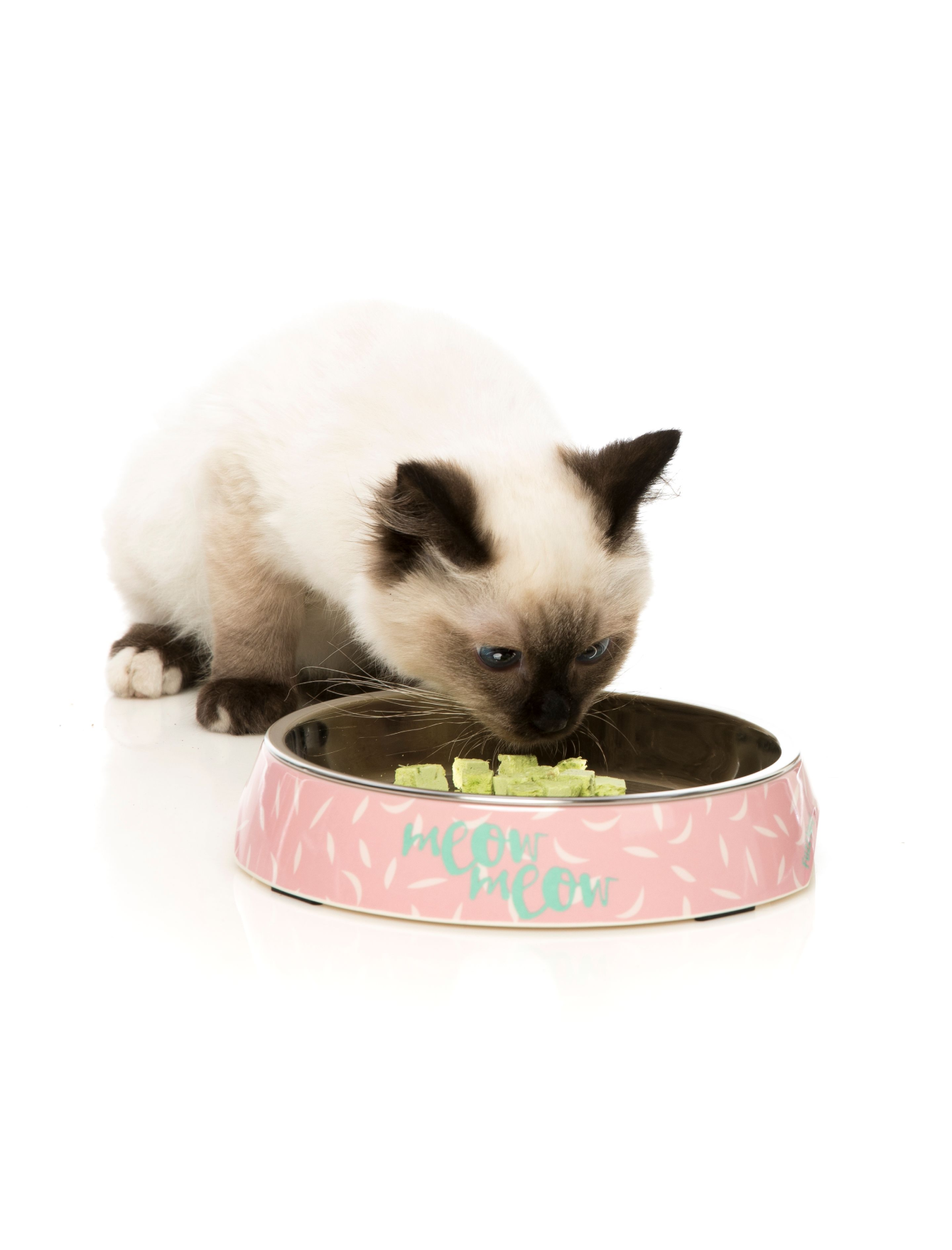 Premium FuzzYard Melamine Cat Bowl with Featherstorm Design - Durable, Non-Slip Pet Food Dish for Kittens & Adult Cats - Perfect for Wet/Dry Food & Water - Ideal for Home, Kitchen, or Travel Use