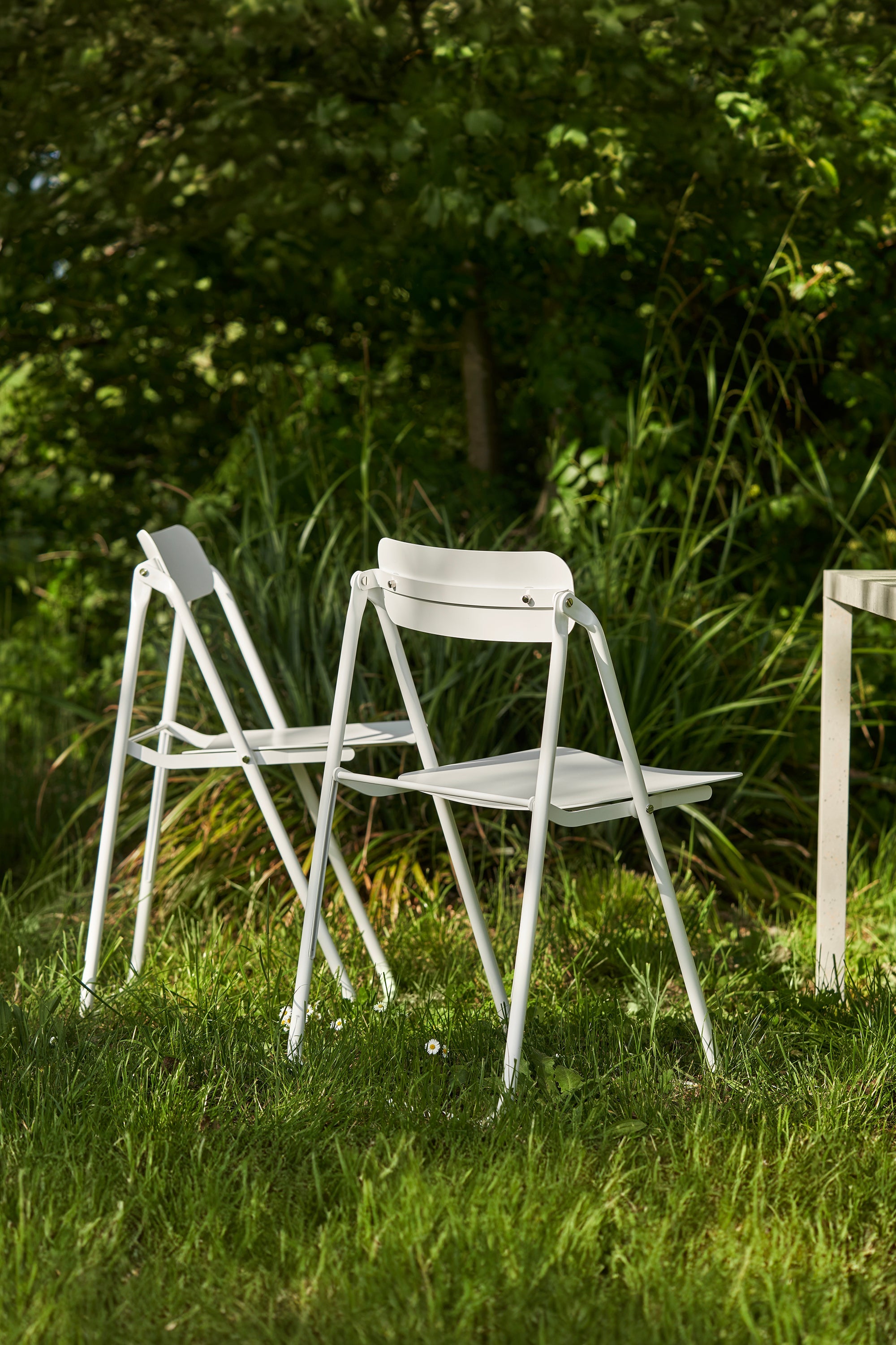 Opinion Ciatti Comfort Chair - Ergonomic Office Chair for Home & Workspace - Stylish Modern Design for Long Hours Sitting