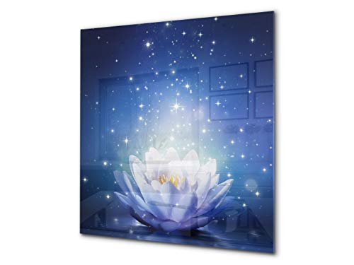 Shining Water Lily 2