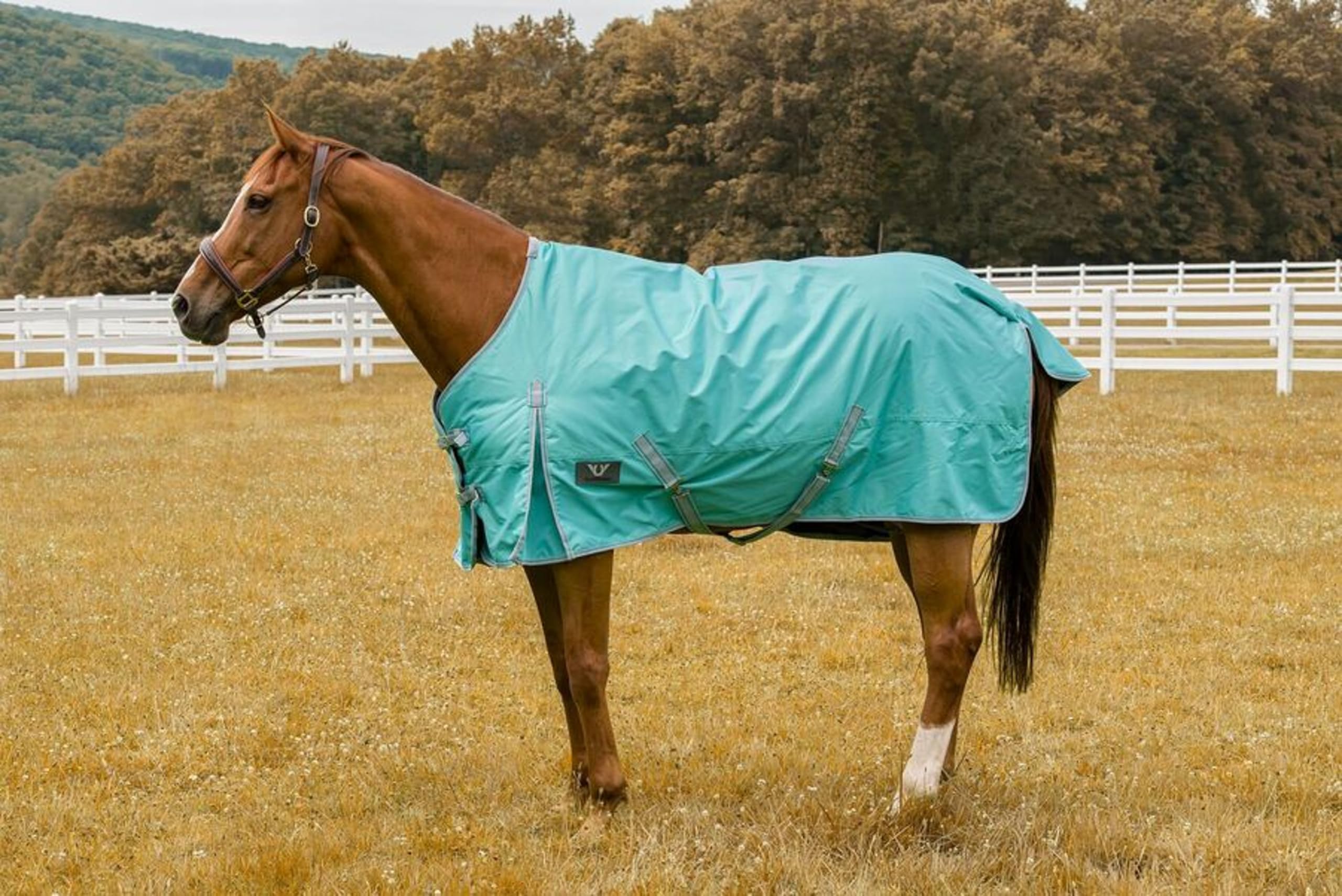 TuffRider 1200D Comfy Winter Horse Turnout Blanket - Medium Weight 200GSM, Standard Neck - Turquoise Blue - 78