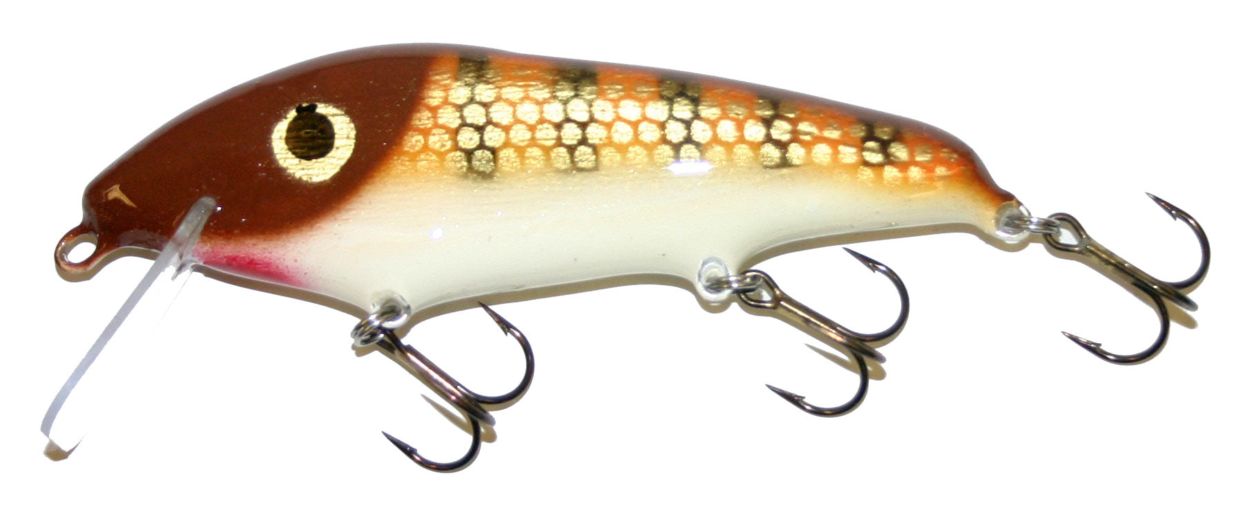 brown perch