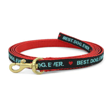 Best Dog Ever Dog Lead - Durable & Adjustable Dog Leash for Small, Medium & Large Dogs - Perfect for Walking, Training & Outdoor Adventures