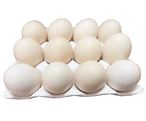 12 cup egg rack