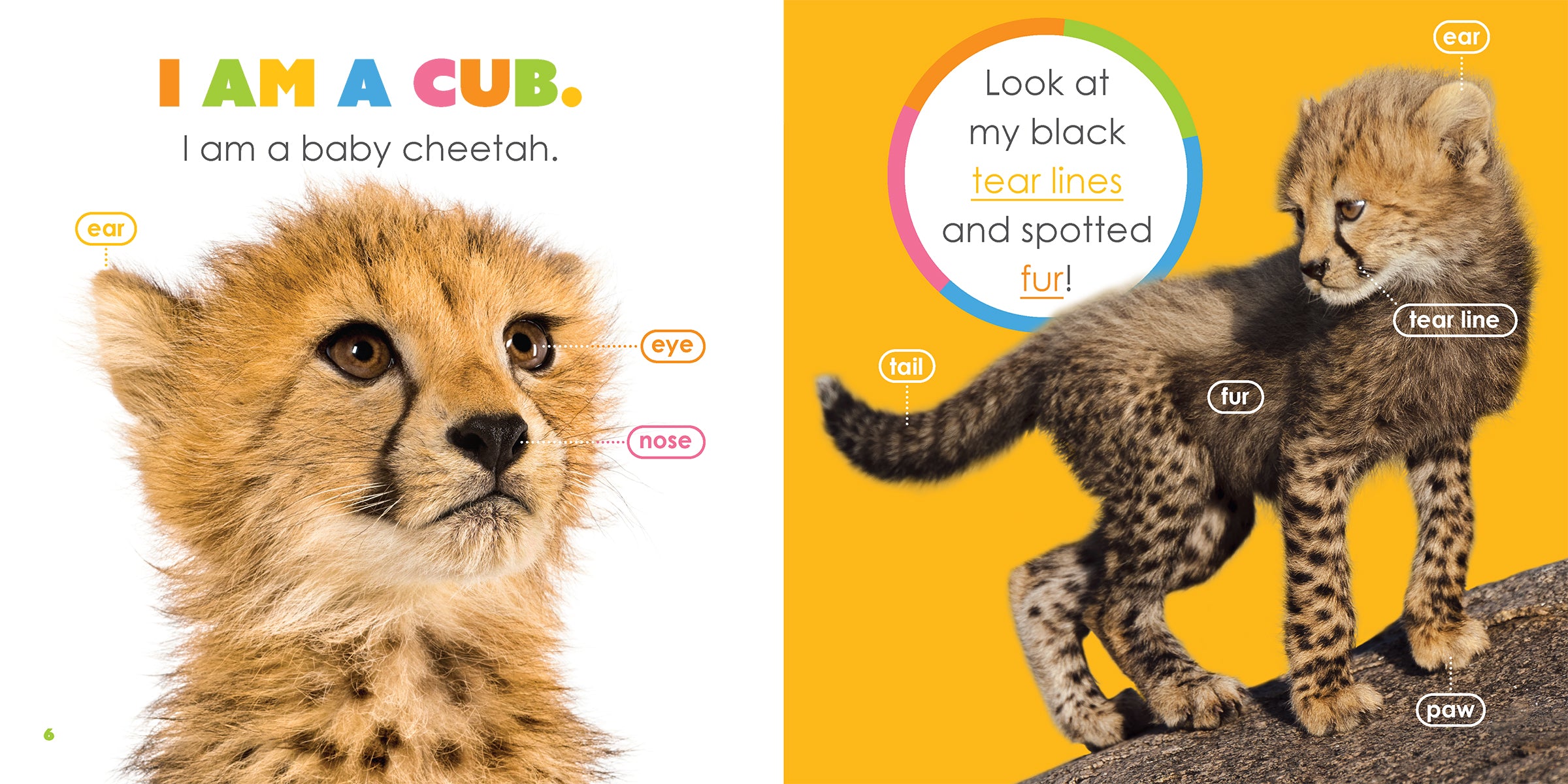 Baby Cheetahs Book - ISBN 978-1-64026-346-8 - Perfect for Kids' Wildlife Education & Bedtime Stories