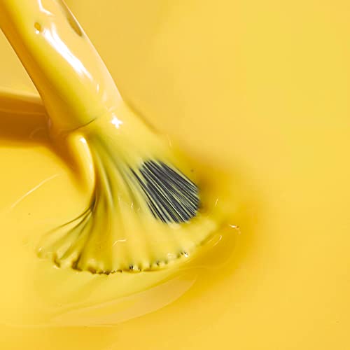 Lemon Sorbet