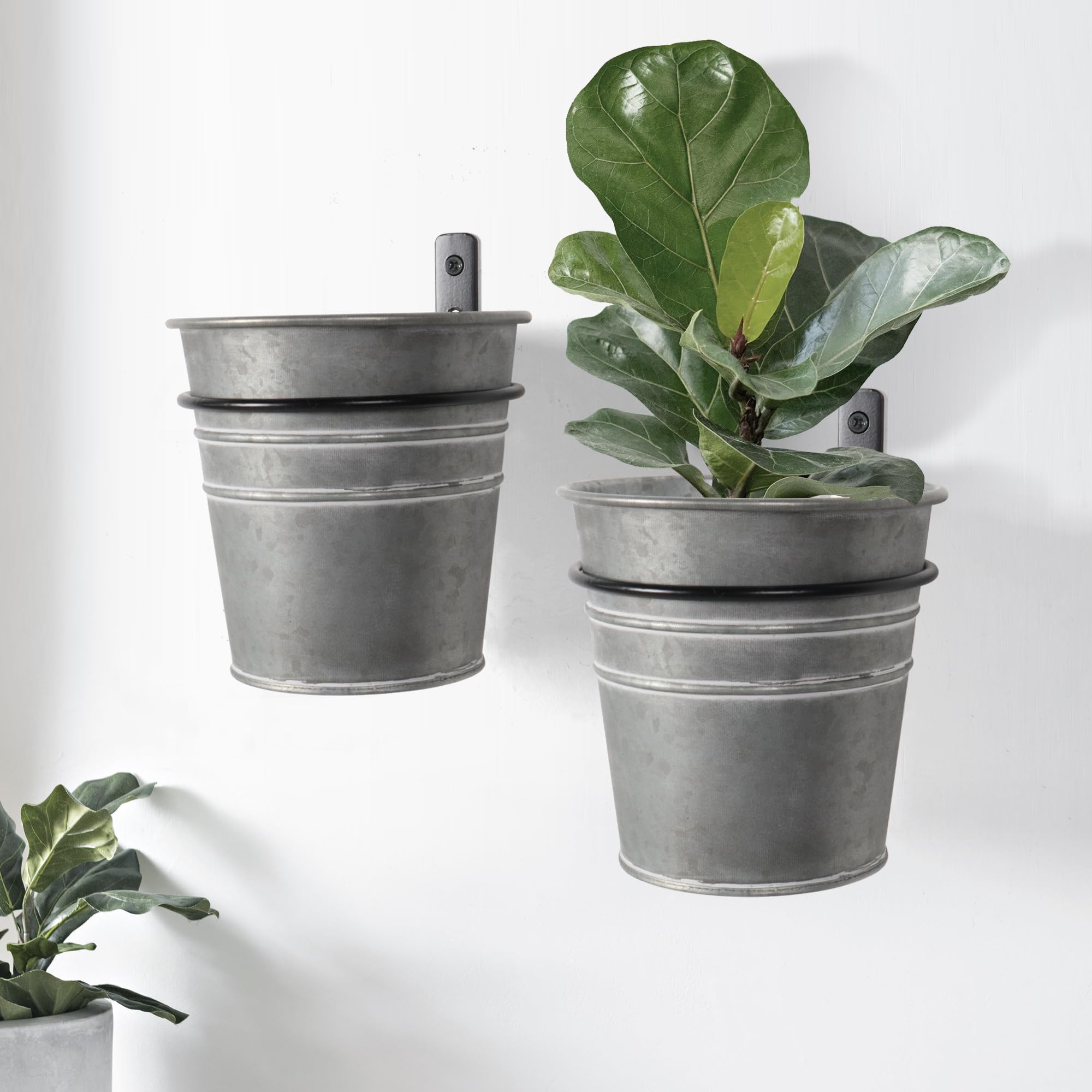 Set of 2 Galvanized Metal Wall Planters - Rustic Farmhouse Hanging Planters for Indoor Plants, Wall Mounted Flower Pots for Living Room, Bathroom & Bedroom Decor [Plants Not Included] | Perfect for Home, Office & Garden Vertical Gardening Decor