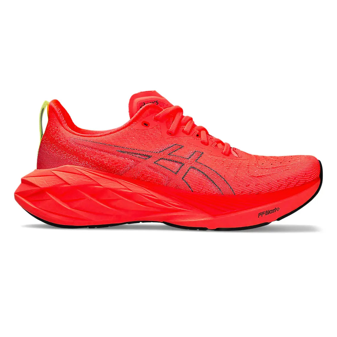 Sunrise Red / True Red