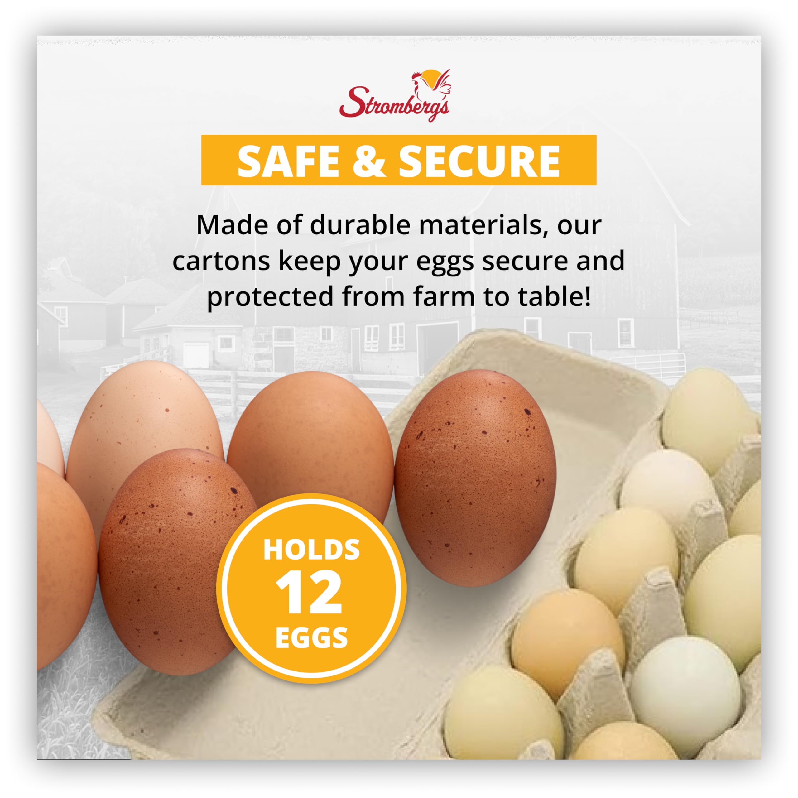 Eco-Friendly Large Blank Flat Top Chicken Egg Cartons - 200 Pack, Made from Recycled Materials, Biodegradable & Customizable for Farmers, Crafters | Perfect for Farm Fresh Eggs, DIY Crafts & Sustainable Packaging