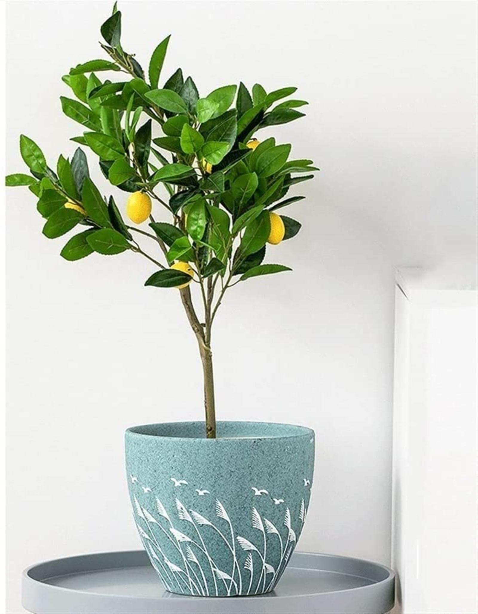 YINGJIA Ceramic Flower Pot - 16.5x15.7cm Classic Indoor Planter for Home, Office, Windowsill | Perfect for Succulents, Herbs & Small Plants | Durable Home Gardening Decor
