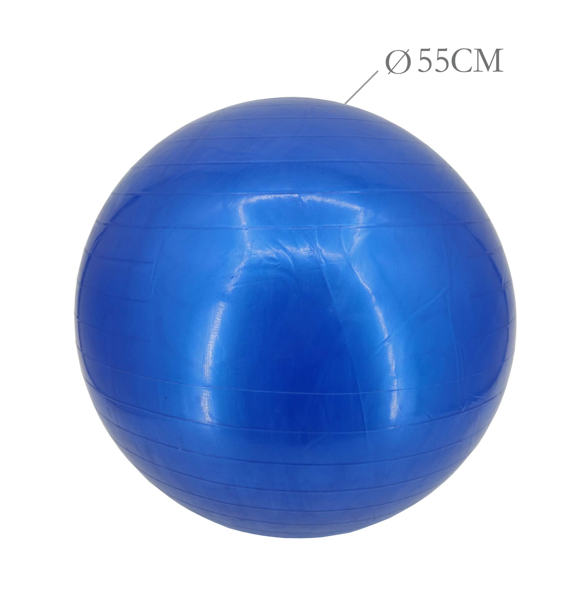 22 Inch (55cm) Anti-Burst Exercise Yoga Ball - Premium Stability & Balance Ball for Fitness, Gym, Pilates, Physical Therapy - Includes Free Air Pump (Latex-Free, 1.25 lbs Weight) - Perfect for Home Workouts, Office Chair Alternative & Pregnancy Exercises