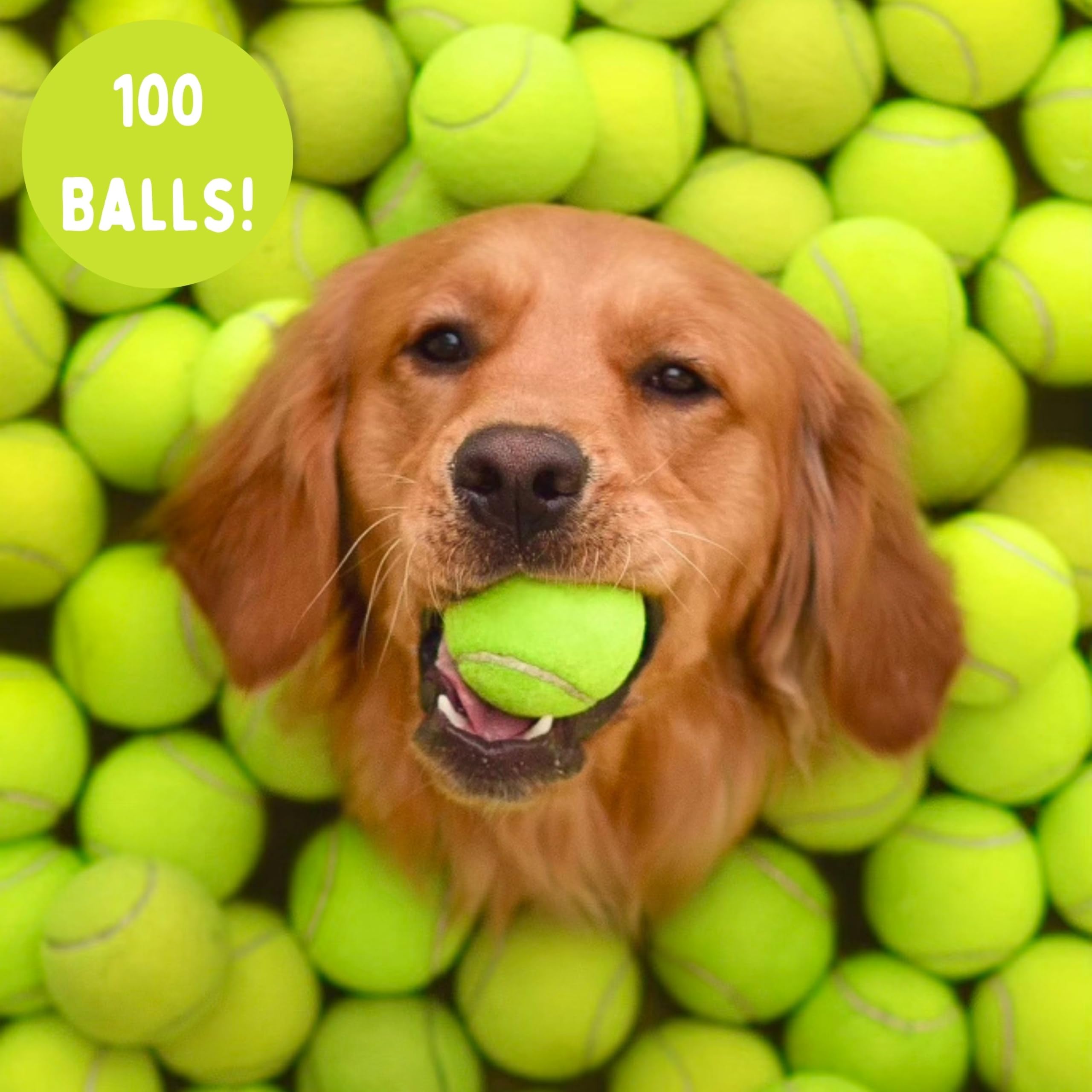 **100 Used Tennis Balls for Dogs - Bulk Recycled Dog Tennis Balls | Supports USA Tennis Ball Recycling NonProfit | Perfect for Fetch, Training & Playtime**