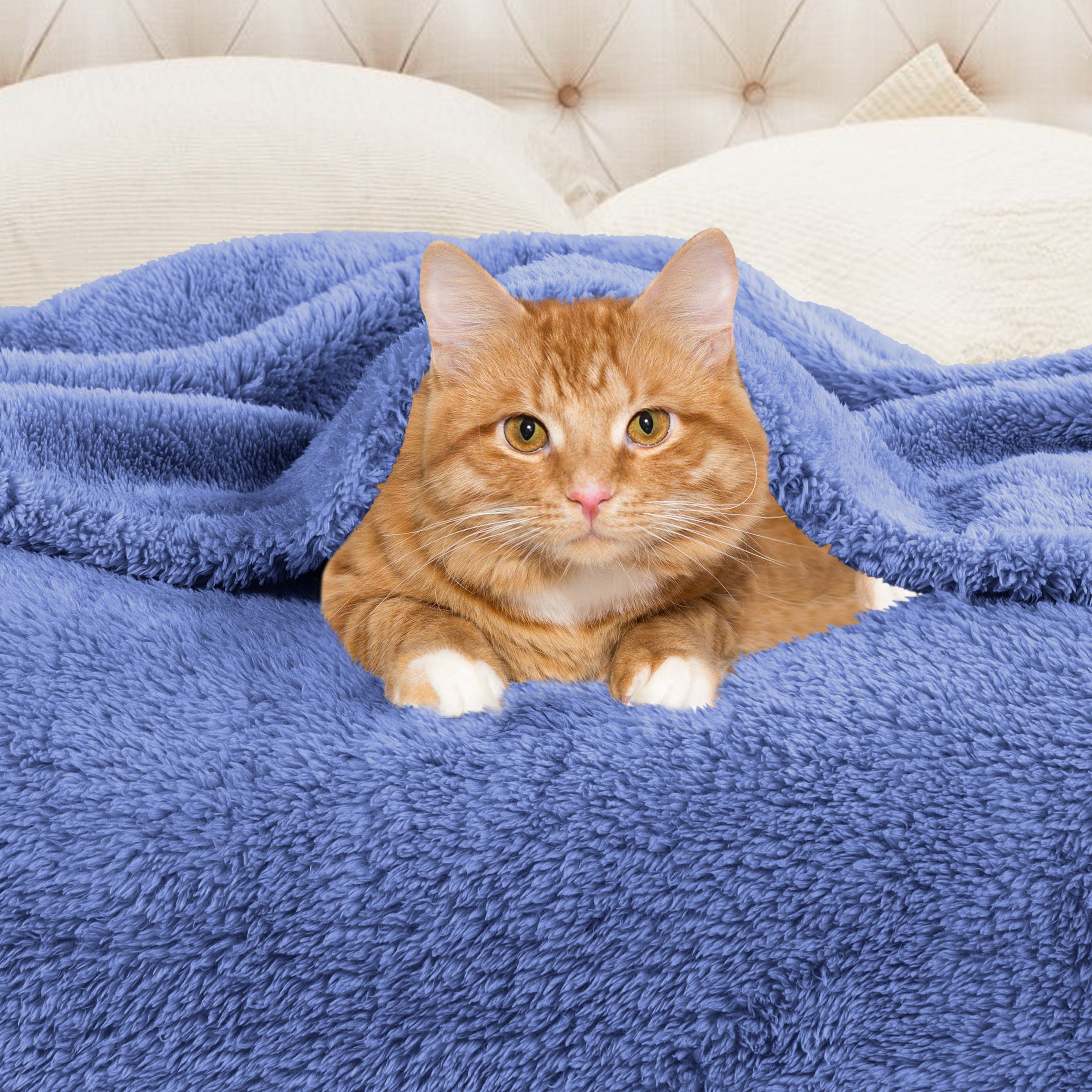 Classic Solid Fleece Plush Medium Weight Fluffy Soft Blanket - Cozy & Warm for Bed, Sofa, Travel & Gifts | Ultra-Soft Throw Blanket for All Seasons