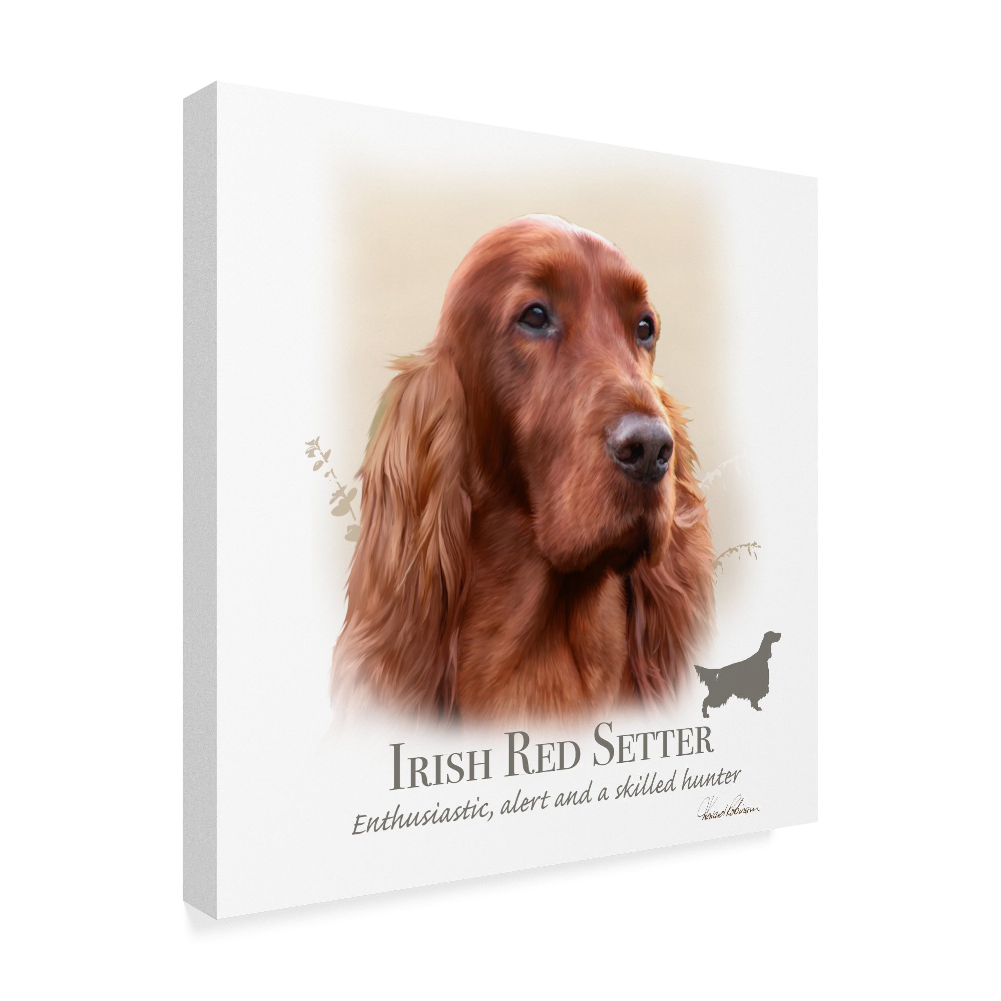 Howard Robinson Irish Red Setter Dog Art Print - 35x35 Inch Canvas Wall Decor for Living Room, Bedroom & Office - Perfect Gift for Dog Lovers & Home Decor Enthusiasts