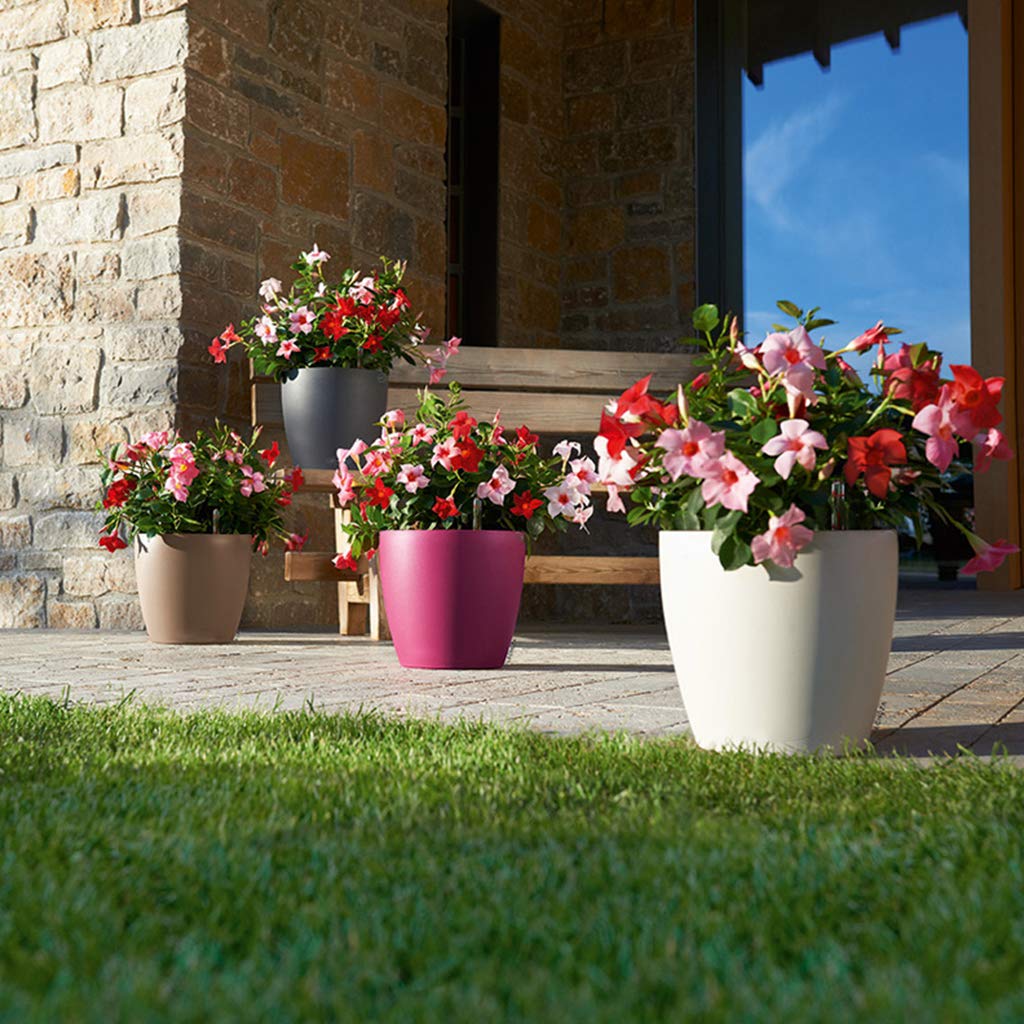 Youngy Self Watering Flower Pots - 6x5 Inch Indoor Planters with Water Level Indicator, Hot Pink - Perfect for Home Decor, Office Plants & Herb Gardens