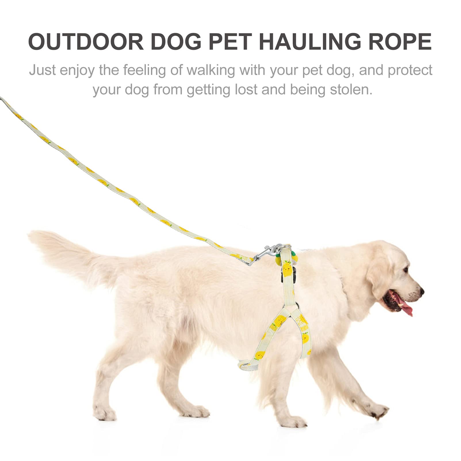 **Balacoo Heavy Duty Dog Harness & Leash Set - Durable Polyester Rope for Running, Pulling, and Training - Halloween & Christmas Floral Design for Dogs & Kittens - Perfect for Outdoor Adventures and Festive Occasions**