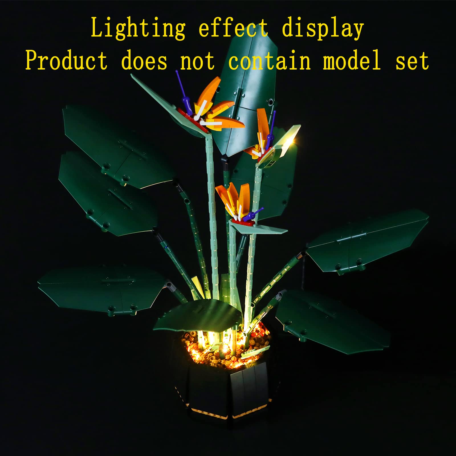 GEAMENT LED Light Kit for Lego Creator 10289 Bird of Paradise Building Set - Compatible with Paradise Flower Model (Bricks Not Included) - Perfect for Home Decoration & Gift Giving