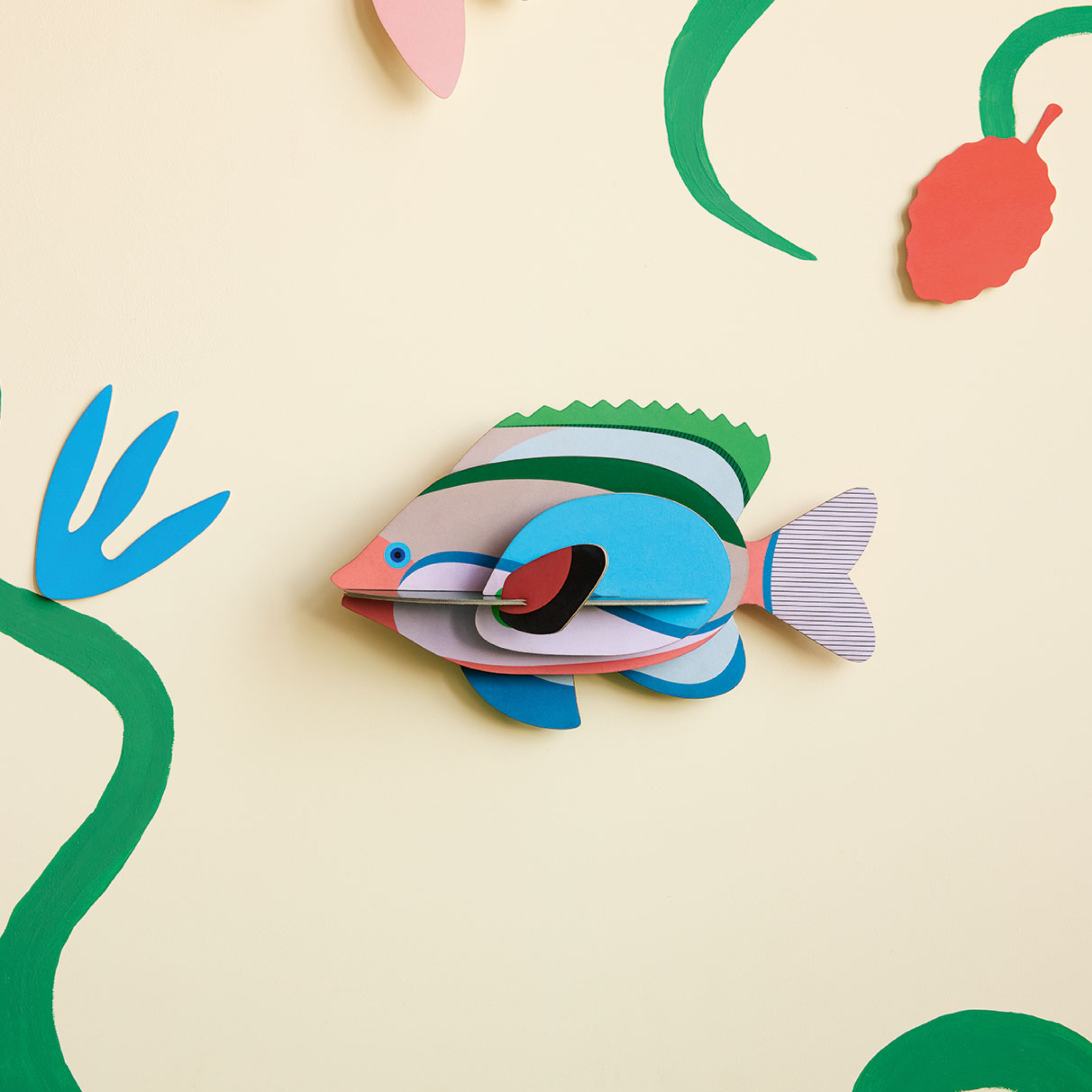 Fairy Wrasse Fish - Vibrant Saltwater Aquarium Fish for Reef Tanks | Perfect for Marine Fish Enthusiasts & Coral Reef Displays