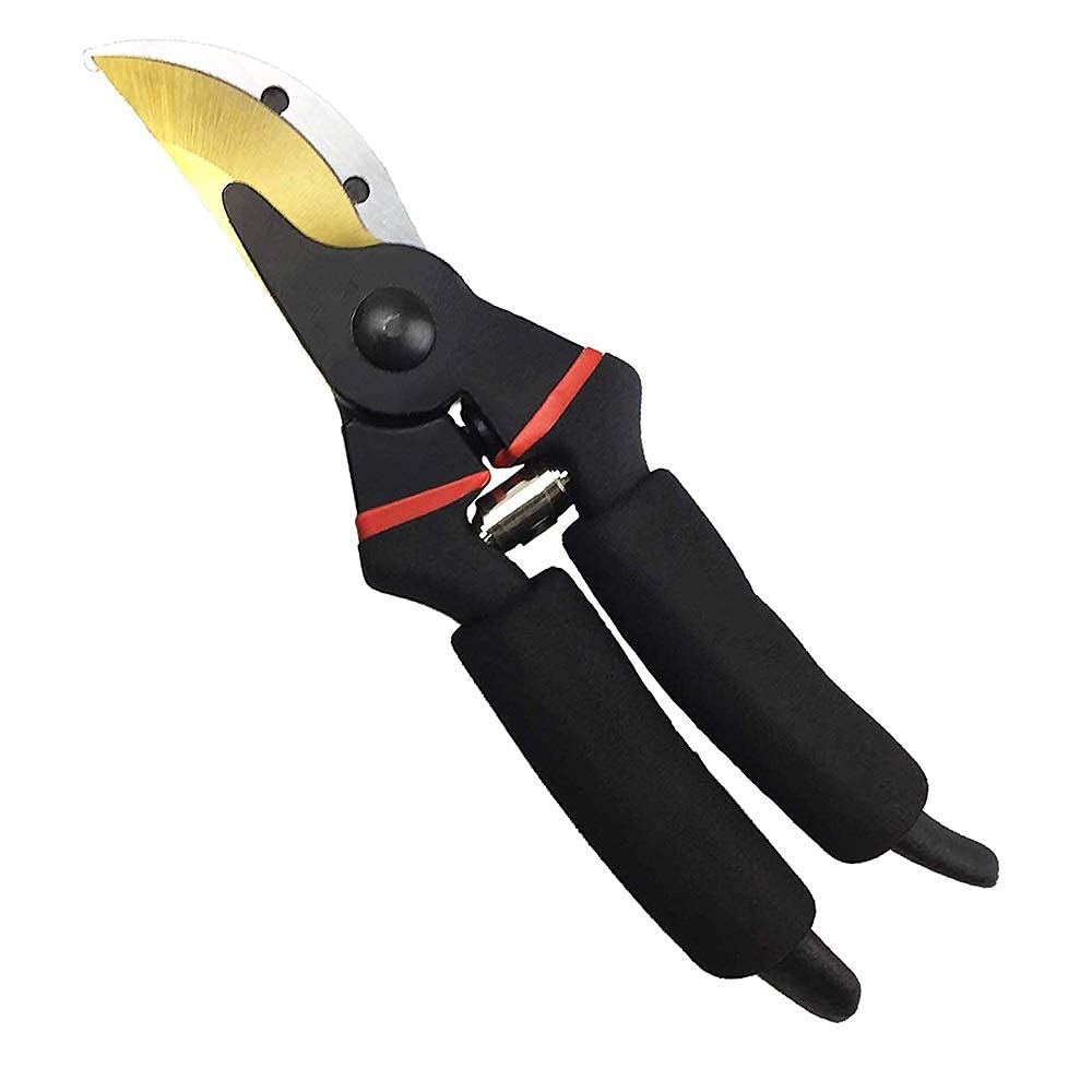 Professional Gardening Scissors & Pruning Shears with Safety Lock - Sharp Stainless Steel Blades for Tree Trimming, Plant Pruning & Landscaping - Ergonomic Non-Slip Handle for Comfortable Use (Ideal for Gardeners, Florists & DIY Enthusiasts)
