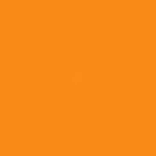 107 - Matte Sunrise Orange (Hex Code: #F88b17)
